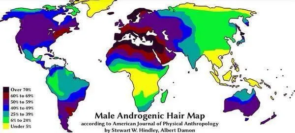 Baldness Map