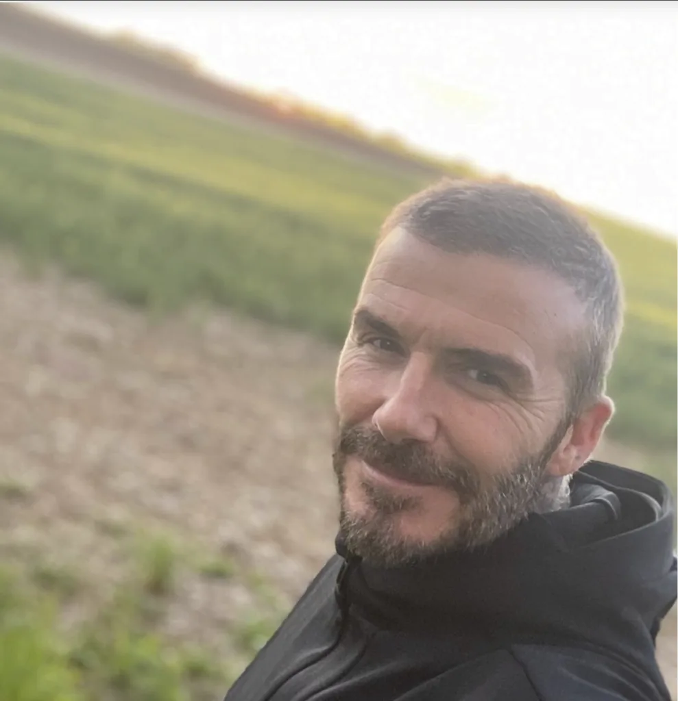 Beckham Hair