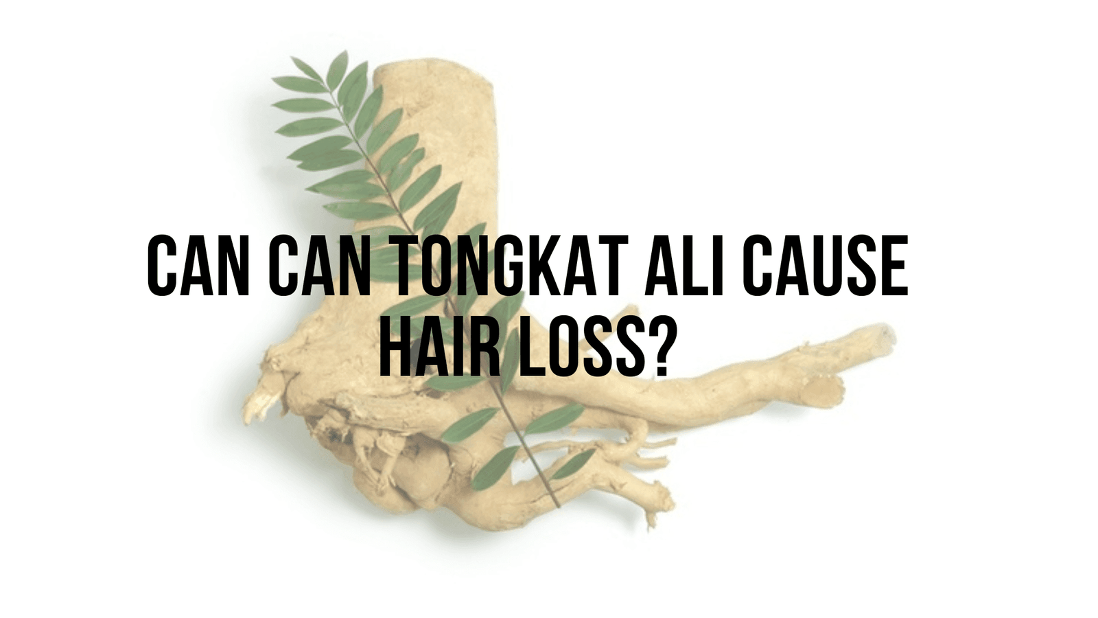 Can tongkat ali cause hair loss? BALD LIFESTYLE