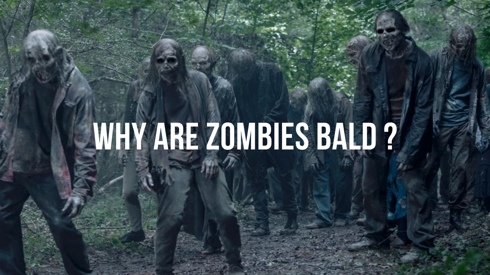 Why Are Zombies Bald? - BALD LIFESTYLE